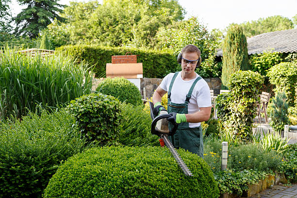 Best Emergency Tree Removal  in USA